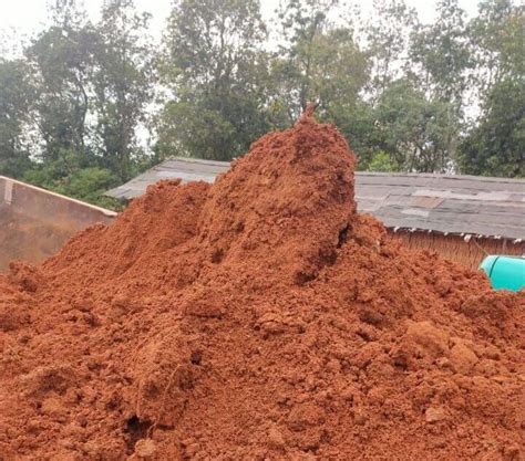 tanah merah urug bisa menjadi media bercocok tanam dunia pasir