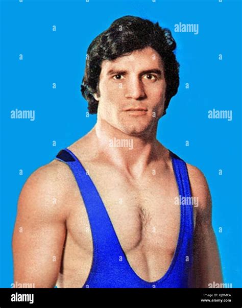 davoud maleki  stock photo alamy