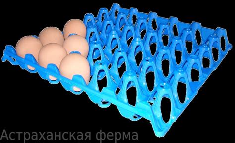 Лотки 20 гусиных яиц для транспортировки или в инкубатор