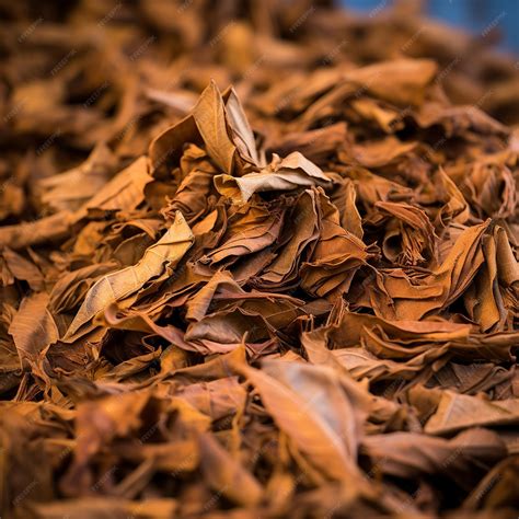 Premium AI Image | illustration of pile of dried tobacco leaves