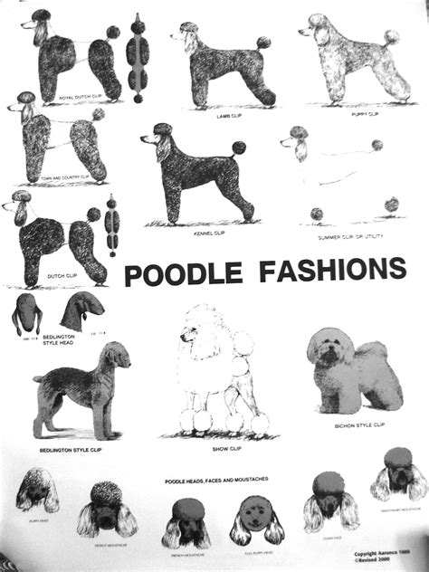 Huxtable The Poodle | Toy Poodle Blog | Parti Poodle: Poodle Grooming Posters