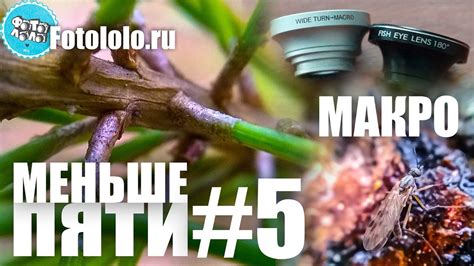 Меньше Пяти - Меньше Пяти #Макро - YouTube