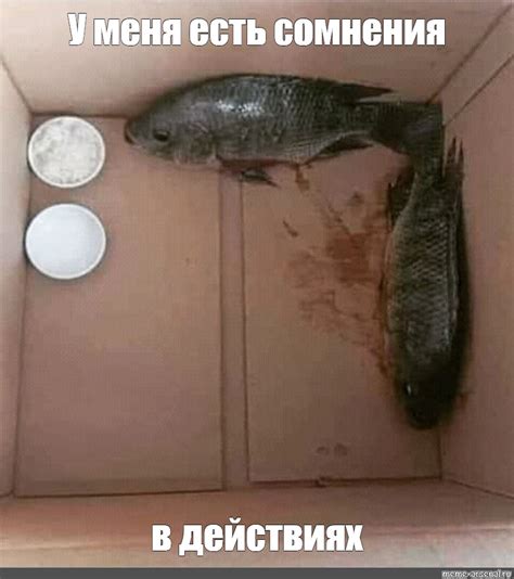 Создать мем "рыба коробка, рыба ползун, рыба анабас" - Картинки - Meme ...