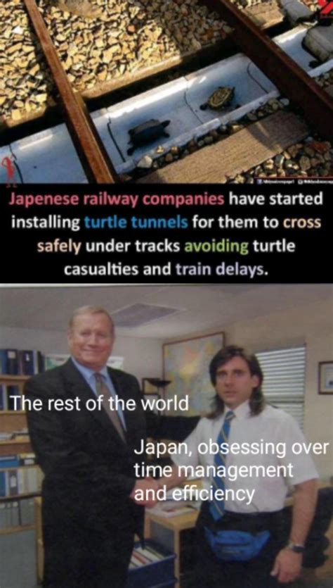 my favorite turtle is the dude from finding nemo - Meme by Sproche ...