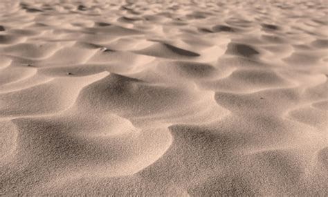 premium photo grains  desert sand  dunes  windy beach