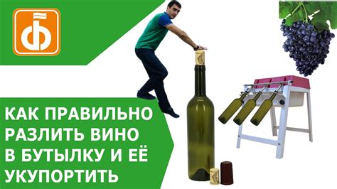 Розлив и укупорка вина в бутылки. Правильное оборудование для домашнего ...