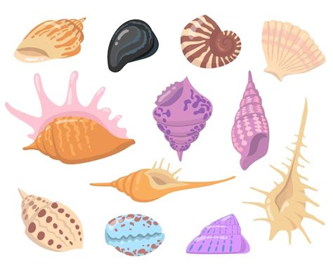 sea  ocean shell objects flat illustration set cartoon colorful