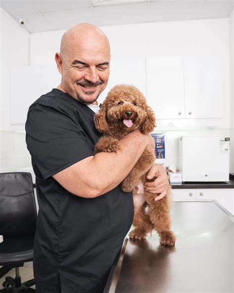 What to Do if My Dog Has a Cold? Treatment and Home Remedies