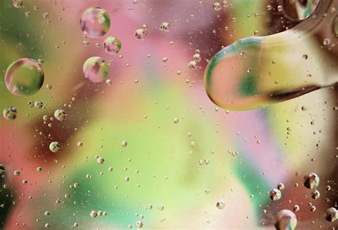 dispersal photograph  michael peychich fine art america