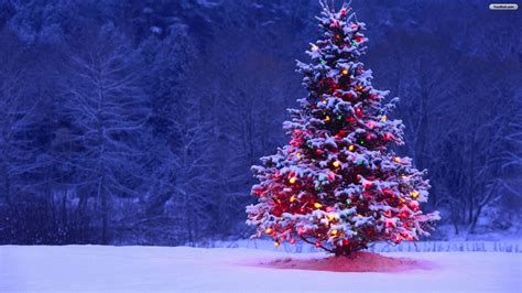 Christmas Tree Desktop Wallpaper (61+ pictures) - WallpaperSet