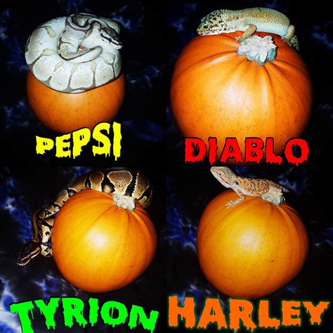 200 best Sp00ky images on Pholder | Ledootgeneration, 2spooky4me and