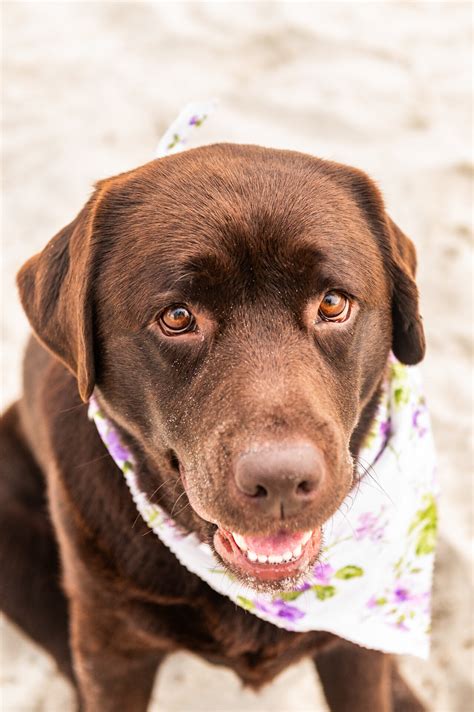 Family Beach & Park Photography | Kate Morrison Photography