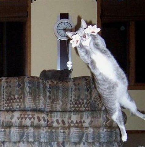 Is This The Dirtiest Hilarious GIF You'll Ever See? (Spoiler: Maybe) Image 11