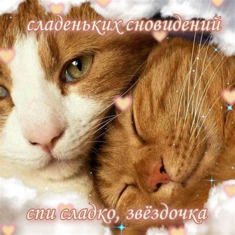 Спокойной ночи | Смешные карикатуры, Смешные мемы, Смешные ...