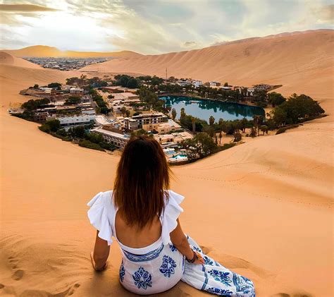 Discovering the mission behind the famous animal oasis 30