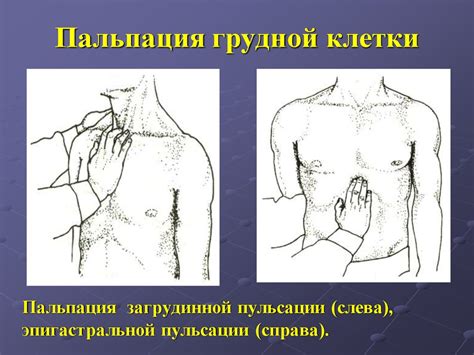 Методы пальпации, перкуссии и аускультации в диагностике заболеваний ...