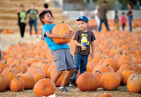 Cal Poly Pomona’s Pumpkin Fest opens Saturday | Claremont COURIER