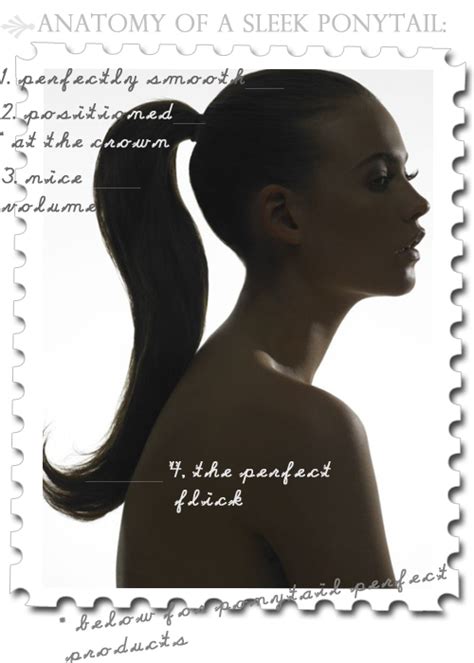 Amour-Love: PONYTAIL PERFECT