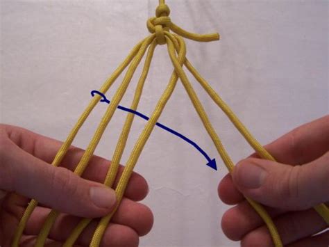 paracord    strand flat braid year  survival premium