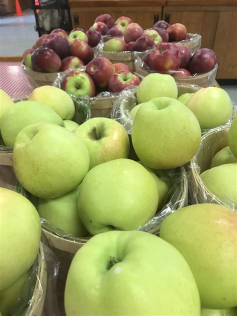 Fruit Trees - Home Gardening Apple, Cherry, Pear, Plum: Facts About