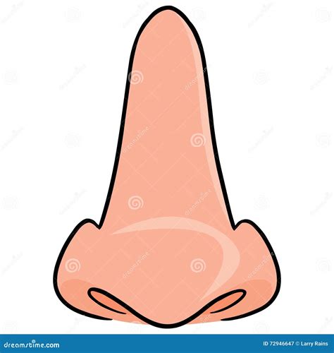 Nose Front View stock vector. Illustration of illustrations - 72946647