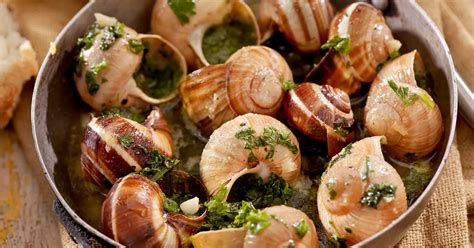 Escargot E Caramujo