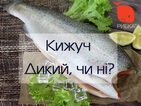 Можно ли купить в Украине дикого кижуча