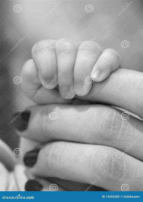 Baby and mother hands stock image. Image of baby, catch - 13455285