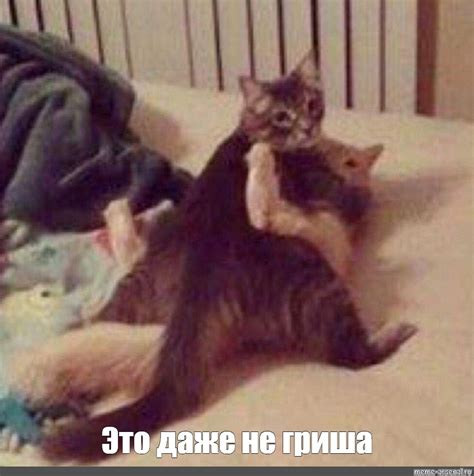Мем: "Это даже не гриша" - Все шаблоны - Meme-arsenal.com