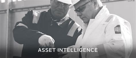 asset intelligence