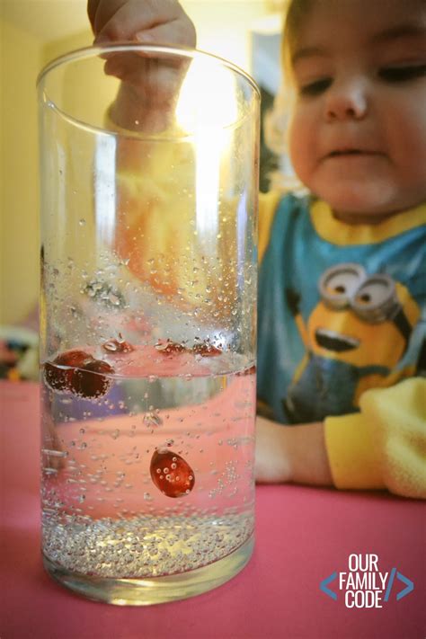 Dancing Cranberries Fall Preschool Science Experiment - Our Family Code