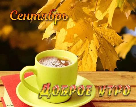 Красивые моменты | | Drasler