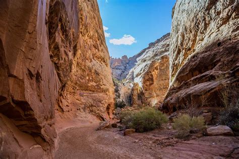 Incredible Capitol Reef National Park Hikes – Insider's Utah