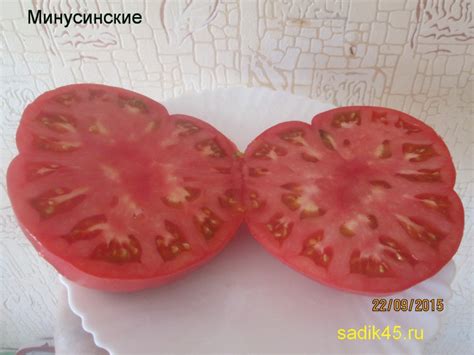 Томаты Минусинские: описание сорта, ОТЗЫВЫ, фото