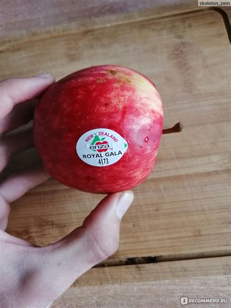 Яблоко Роял Гала - «Продолжаем дегустацию! 🍎🍏» | отзывы
