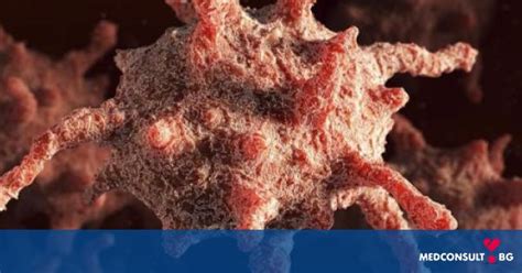 Функция, норми и показания на тромбоцитите — Medconsult.bg