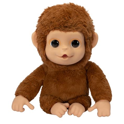 small monkey pets 5