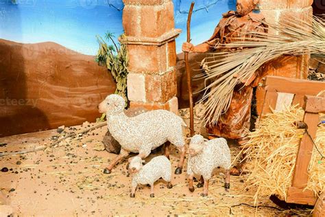 nativity scene   manger sheep   shepherd  stock
