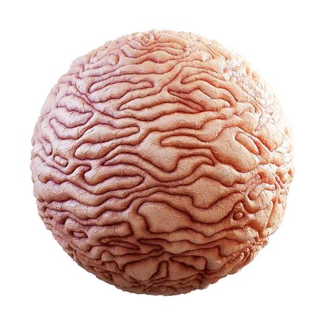 Guts PBR Texture