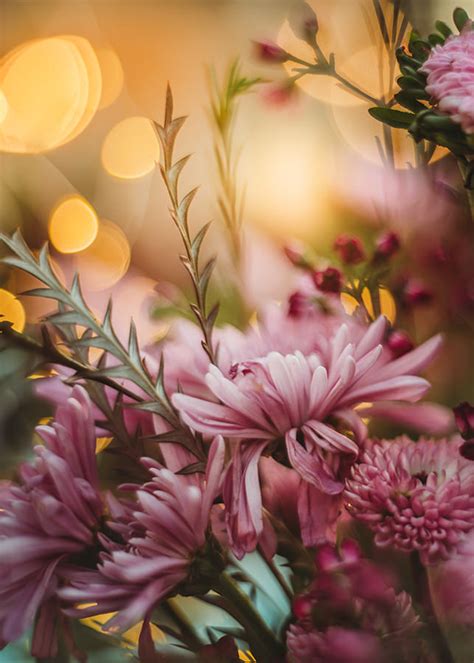 Flower Photography - 10 Incredible Photos By Lucy Ketchum