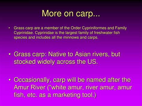 PPT - Carp Culture PowerPoint Presentation, free download - ID:3941815