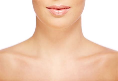 Neck - definition and meaning with pictures | Picture Dictionary & Books