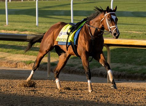 Loose-horse incidents put horsemen on edge after recent string of