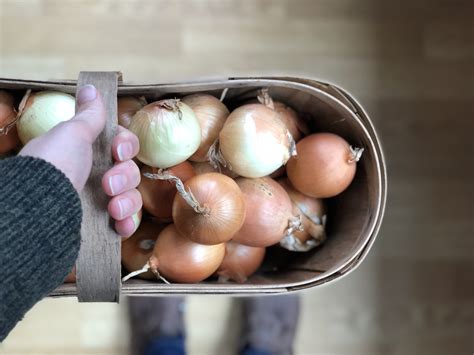 Sustainable in the Suburbs