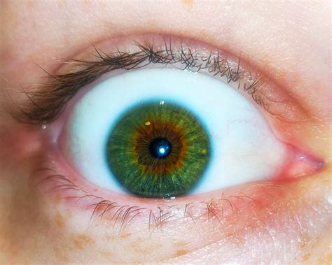 So apparently I have central heterochromia? : r/heterochromia