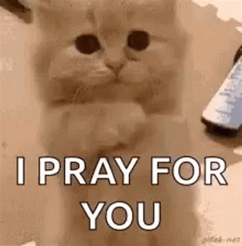 Praying For You 220 X 224 Gif GIF | GIFDB.com