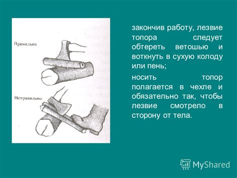 Презентация на тему: "Сооружение временного жилища в лесной зоне ...