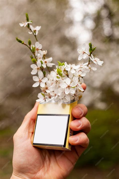 Free Photo | Say no to smoking habit