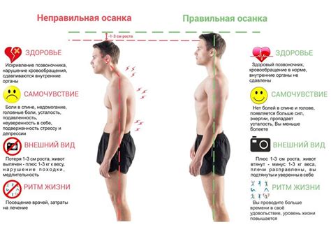 Lifestyle. Осанка