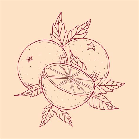 Orange Line Art Vectors & Illustrations for Free Download | Freepik